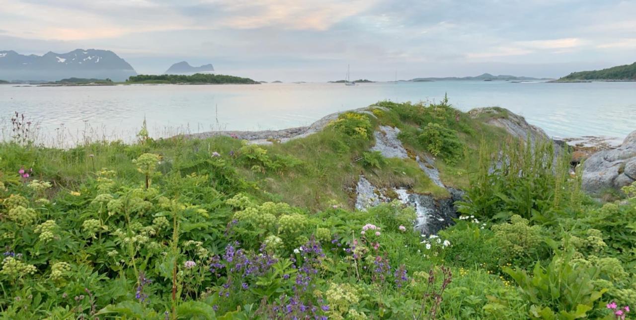 Bedehuset Basecamp Senja Ξενοδοχείο Skaland Εξωτερικό φωτογραφία